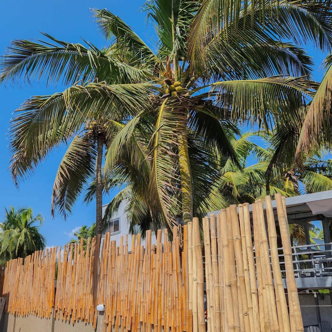 Serenity Terraces Beach, Hotel - Kokrobite Exterior foto